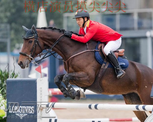 世界杯买球平台精选：安全入口全指南 - 世界杯全球总决赛